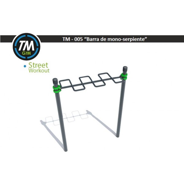 TM005 - street workout